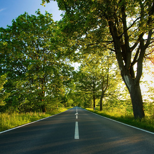 久久久精品强奸視頻
